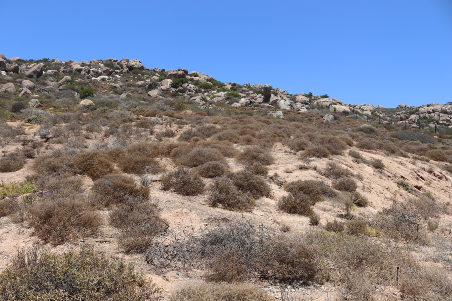 0 Bedroom Property for Sale in St Helena Views Western Cape